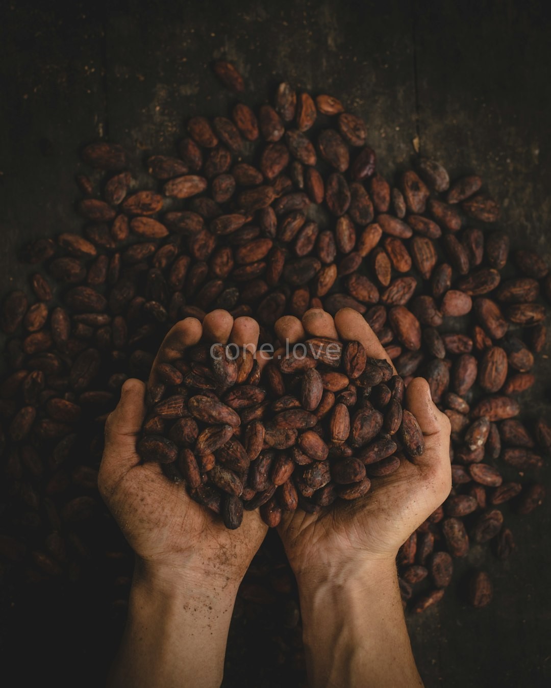Chocolate Background