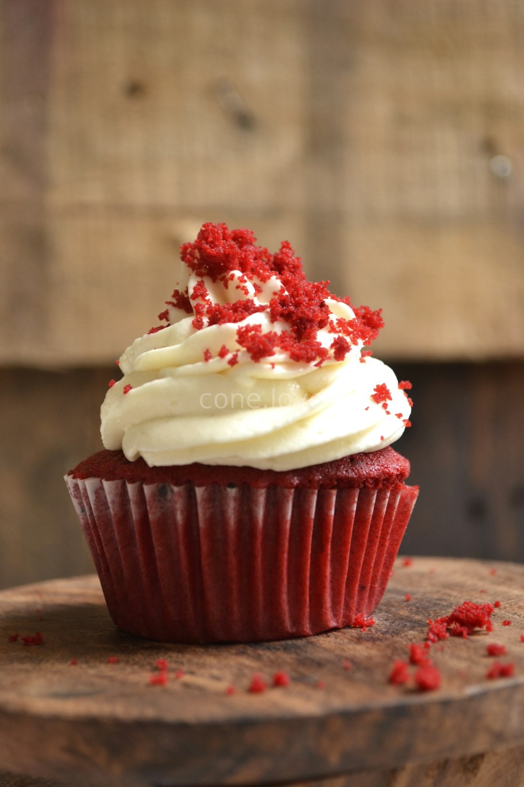 Daily Cupcakes