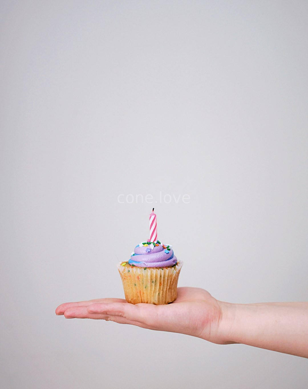 Signature Macaron Cupcakes